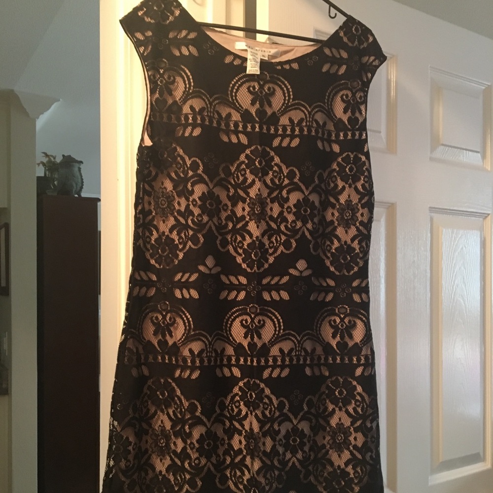 NWOT Max Studio dress